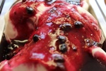 Erdeis mascarpone